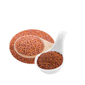 Berro | Eco-Cultivado Naturalmente | Sin químicos dañinos - Product Image 5