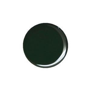 Presto CE118 Gel Color EX Vert Liquide Vernis Gel Solide à Base d'Eau Couche de Finition Trempée Fournitures pour Ongles avec PH Bond Numéro de Modèle - Product Image 1