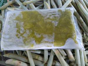 Oferta caliente de alta calidad jugo de caña de azúcar congelado sabor natural precio competitivo directo del proveedor de Vietnam - Product Image 5