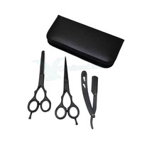 Kit de coiffure pour salon de coiffure avec manche en céramique et lames en acier inoxydable, outils de beauté de haute qualité avec revêtement couleur unie