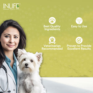 Premium 12-Vitamina 10-Mineral Multivitamin & Mineral Suplemento para mascotas Apoya la inmunidad digestiva y la salud ocular - Product Image 5