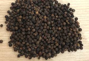 High Quality Export Dried Black Pepper Natural Raw Processing Single <b>Herb</b> <b>Spice</b> Hot Sale Style - Product Image 2