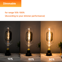 Ampoule LED vintage à filament en spirale en verre fumé de grande taille à double ampoule au design unique, intérieur 110-130V DG150 E26, lumières décoratives en verre