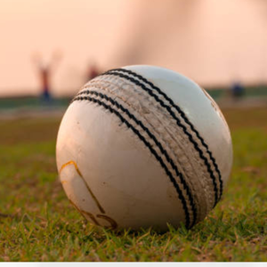 Pelota de Cricket de Alto Rendimiento de 110g con Logotipo Personalizado, Colores Personalizados, Material y Tamaño de Empaque Personalizables - Product Image 2