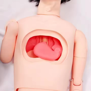 Mannequin de formation en soins gerontologiques grandeur nature, modèle de simulation de soins aux patients, formation en éducation médicale et en compétences cliniques - Product Image 3