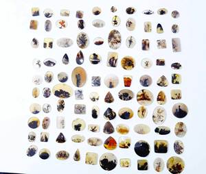 Venta al por mayor Lote de formas de mezcla de piedras preciosas finas Fabricación de joyas Top Natural Shazar Ágata dendrítica Cabujón Piedra preciosa de cuarzo suelta - Product Image 5