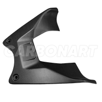 Carbonart - Carenado de Fibra de Carbono Real para Ducati Diavel V4, Protector de Tanque, Pieza de Repuesto/Reparación
