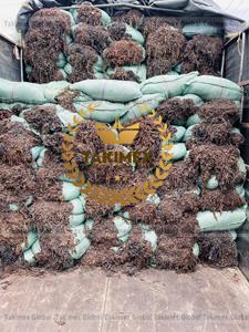 Sargasses non lavées de couleur brune, meilleur prix, algues sargasses séchées pour l'alimentation animale en provenance du Vietnam - Product Image 2