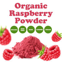 Poudre de framboise lyophilisée, extrait de framboise, poudre de fruits de framboise FD, fournie par le fabricant