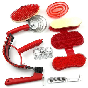 Venta al por mayor de herramientas de limpieza de caballos Kits DE ASEO peine cepillo de curry con caja organizadora de plástico portátil de almacenamiento de marca personalizada - Product Image 2