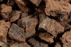 <span class=keywords><strong>Neem</strong></span> kek: Natures organik gübre - Product Image 2