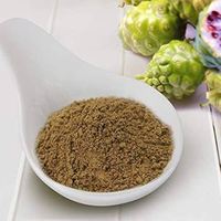 Vente en gros d'extrait de noni bio 100% en poudre 99% Morinda Citrifolia Supplément à base de plantes pour fruits et graines dans un emballage en bouteille