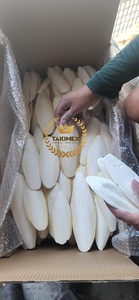 กระดูกปลาหมึกแห้งคุณภาพสูง เซพิอิม 100% ธรรมชาติจากเวียดนาม กระดูกปลาหมึกแห้งสำหรับนก โรงงาน TAKIMEX - Product Image 6