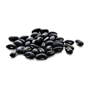 Proveedor al por mayor de existencias frescas a granel de frijoles negros secos orgánicos - Product Image 2