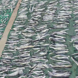 ผิวปลาบาซาแห้งจากเวียดนาม - Product Image 1