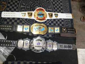 Ceinture de championnat personnalisée Big M Michigan 12X avec plaques en laiton de 2 mm pour la lutte - Product Image 6