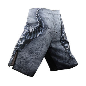 Shorts pour hommes de haute qualité 2026, MOQ et prix bas, pour MMA, service OEM, vêtements d'arts martiaux à la mode, shorts de MMA - Product Image 3