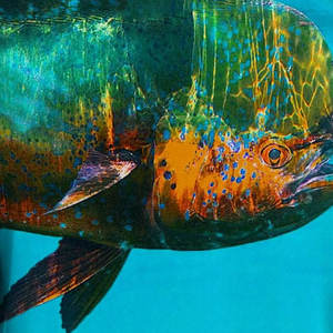 Venta directa de fábrica, camisas cómodas de pesca para hombres, camisas de pesca para hombres de diseño personalizado más vendidas - Product Image 6