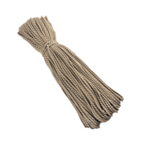 Corde d'escalade de camping de survie en plein air Paracord de 5mm 100M/Roll pour l'activité de plein air