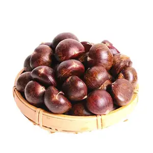 Whole Peeled Chestnuts For Sale at Low Prices