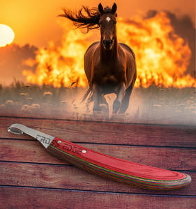 Herramienta de herrador de cuchillo de pezuña de bucle de absceso de caballo de alta calidad, mayor control para trabajo detallado, mango largo de madera múltiple para caballo - Product Image 4