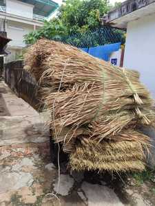 Toit de villégiature avec toit de chaume Toiture de chaume en herbe Meilleure qualité et prix attractif - Product Image 5