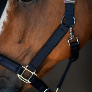 Équipement d'équitation souple réglable, bride pour cheval, conception personnalisée de bride pour cheval - Product Image 6