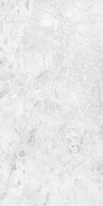 Evergreen Modèle Surface spéciale carreaux de sol émaillés en porcelaine 600X1200mm Fabrication en Inde pour mur et sol. - Product Image 4