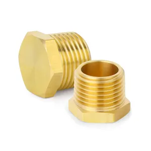 Hot Sale Brass Outer Hex Thread Socket Pipe Plug Fitting