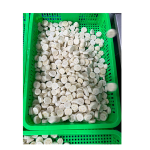 Délice sucré mûr de qualité supérieure : Tranches de banane surgelées IQF, approvisionnement en vrac à faible coût pour les importateurs et les grossistes. - Product Image 2