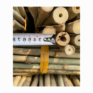 Estacas de caña de bambú de calidad de exportación para valla, Panel de jardín, respetuoso con el medio ambiente, fuerte, duradero, poste de bambú Natural a prueba de agua - Product Image 3