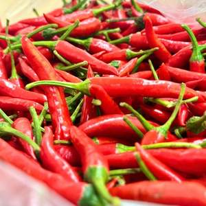 Forme de piment rouge vietnamien frais de haute qualité du fabricant avec un excellent service après-vente pour les acheteurs d'épices - Product Image 3