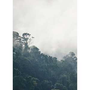 Diseño minimalista con estampado de selva, DIN A4 - Product Image 3