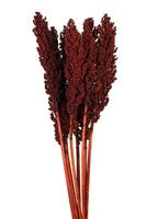 Quenouilles séchées décoratives pour la décoration intérieure accentuant un arrangement floral avec plusieurs de ces quenouilles entièrement naturelles