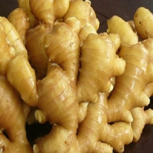 100% Calidad Premium Fresh Ginger Premium Categoría de producto - Product Image 1