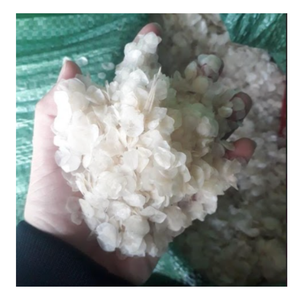 วัสดุจากเกล็ดปลาแปรรูประดับพรีเมียมแหล่งคอลลาเจนขายส่ง | พร้อมส่ง - Product Image 3