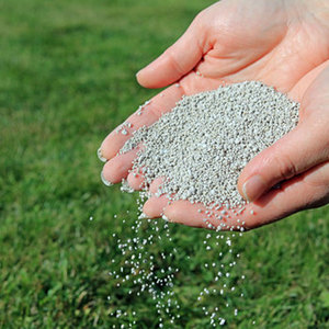 Engrais prillé granulaire de qualité supérieure pour l'agriculture, les plantes d'intérieur et la culture hydroponique - Product Image 6