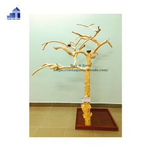 Perca de pájaro de madera de Java Natural clásica más vendida soporte de loro de madera de café ecológico directo al por mayor fabricante de Vietnam - Product Image 3