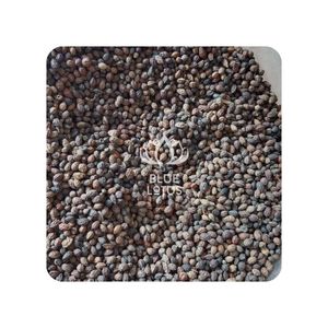 OFERTA Semillas de Papaya Secas Blue Lotus 2025, Superalimento Herbal para el Bienestar Diario - Product Image 1