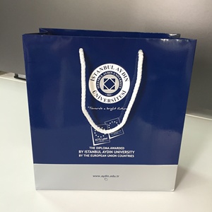 Custom Printed Luxury Paper <b>Bags</b> with Rope Handles Matte Laminated Eurotote Shopping <b>Bags</b> - Product Image 6