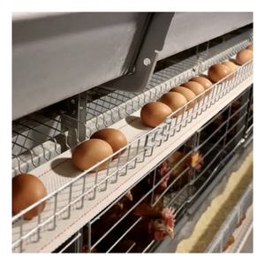 Bon prix équipement d'élevage d'animaux et de volailles cages en batterie pour poulets pondeuses batterie automatique poulet - Product Image 2