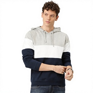 Vente en gros de sweats à capuche vierges 100% coton pour hommes sweat à capuche pull en molleton épais en coton de haute qualité sweat à capuche imprimé sweat-shirt avec logo personnalisé - Product Image 1