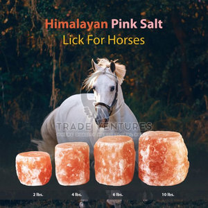 2025 sal para lamer de animales de la mejor calidad, recién llegado, sal para lamer animales, alimento para animales, precio al por mayor, sal para lamer animales - Product Image 3