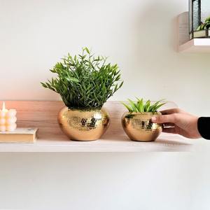 Jardinières en laiton massif avec logo personnalisé OEM, prix de gros pour les commandes de grande quantité - Product Image 3