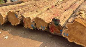 Lớp học đầu tiên rắn gỗ tếch ván cho cửa ra vào cửa sổ Thủ công mỹ nghệ tấm, và cường độ cao ứng dụng cấu trúc trên toàn thế giới - Product Image 2