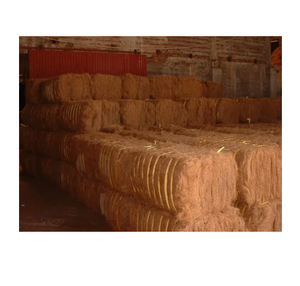 Yatak dolum dokuma ve tarım kullanımları için ideal ucuz fiyata toplu olarak yüksek kaliteli palmiye lifi - Product Image 4