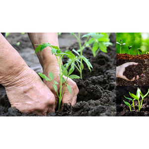 High Quality Cow Dung Manure Compost Organic <b>Fertilizer</b> - Product Image 1