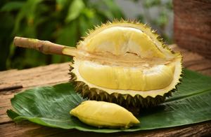 Durian frais du Vietnam: meilleure qualité, meilleur prix - Product Image 6
