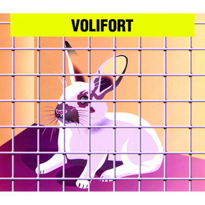 Fence And Electric <b>Wire</b> <b>Mesh</b> Mm.13x13 <b>Wire</b> Mm.0,90-H Cm. 50 - Product Image 1
