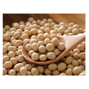 Soja amarilla con alto contenido proteico / Granos de soja en venta - Product Image 1